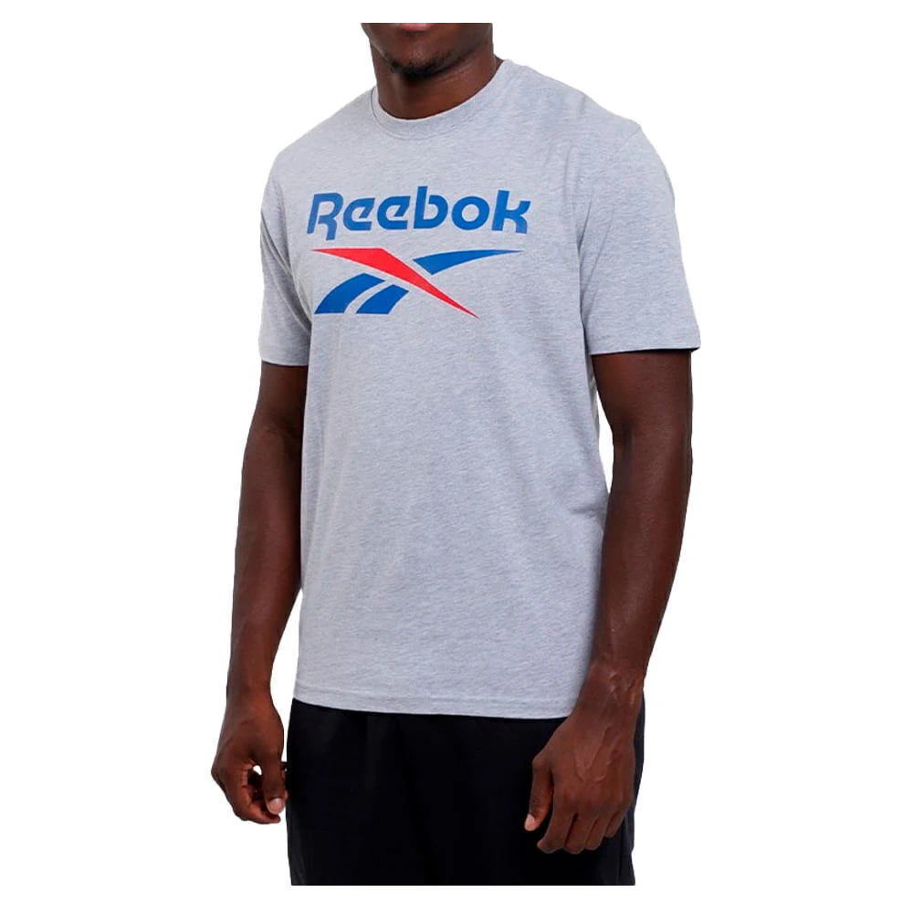 Remera Hombre Reebok Bruno Big Logo